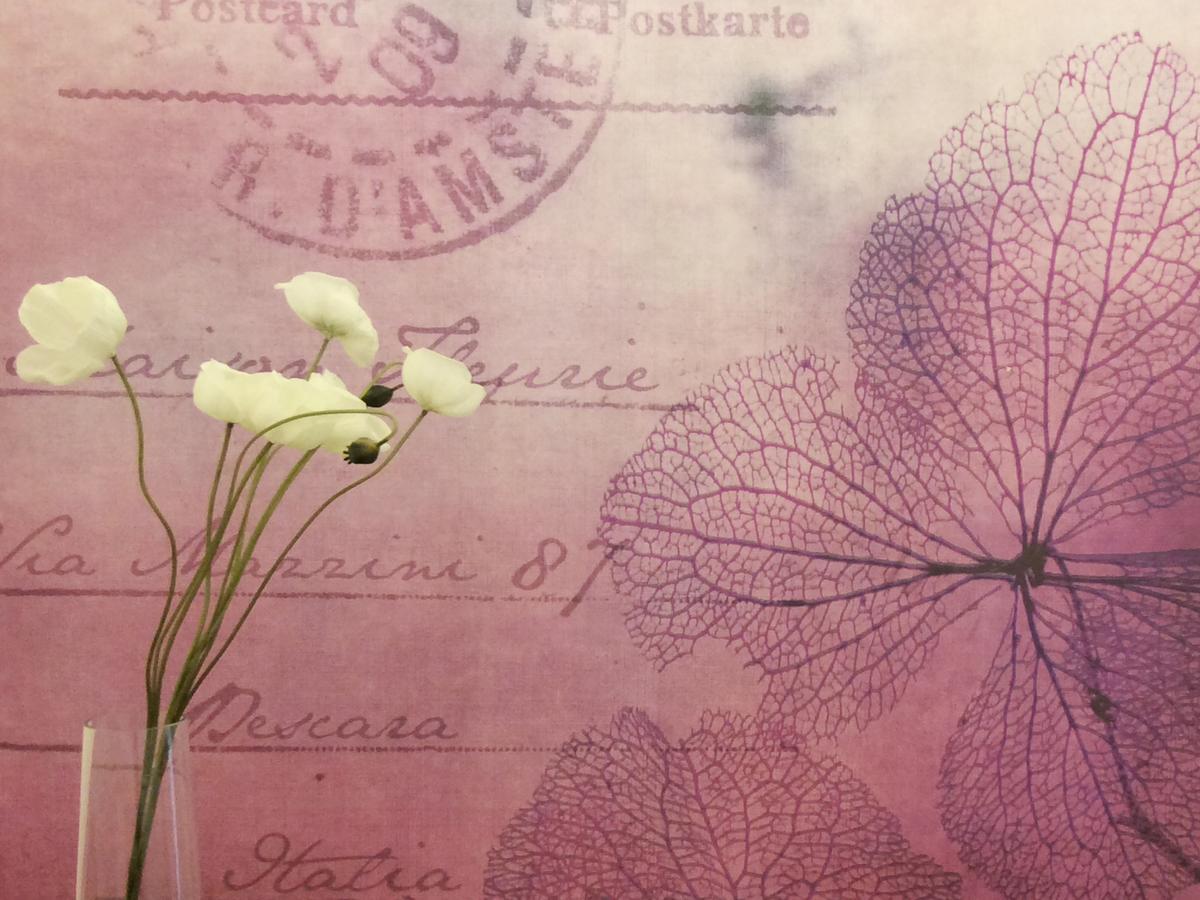 Maison Fleurie Bed & Breakfast Pescara
